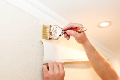 Pose de papier peint à Royas — revêtements muraux et toiles de verre